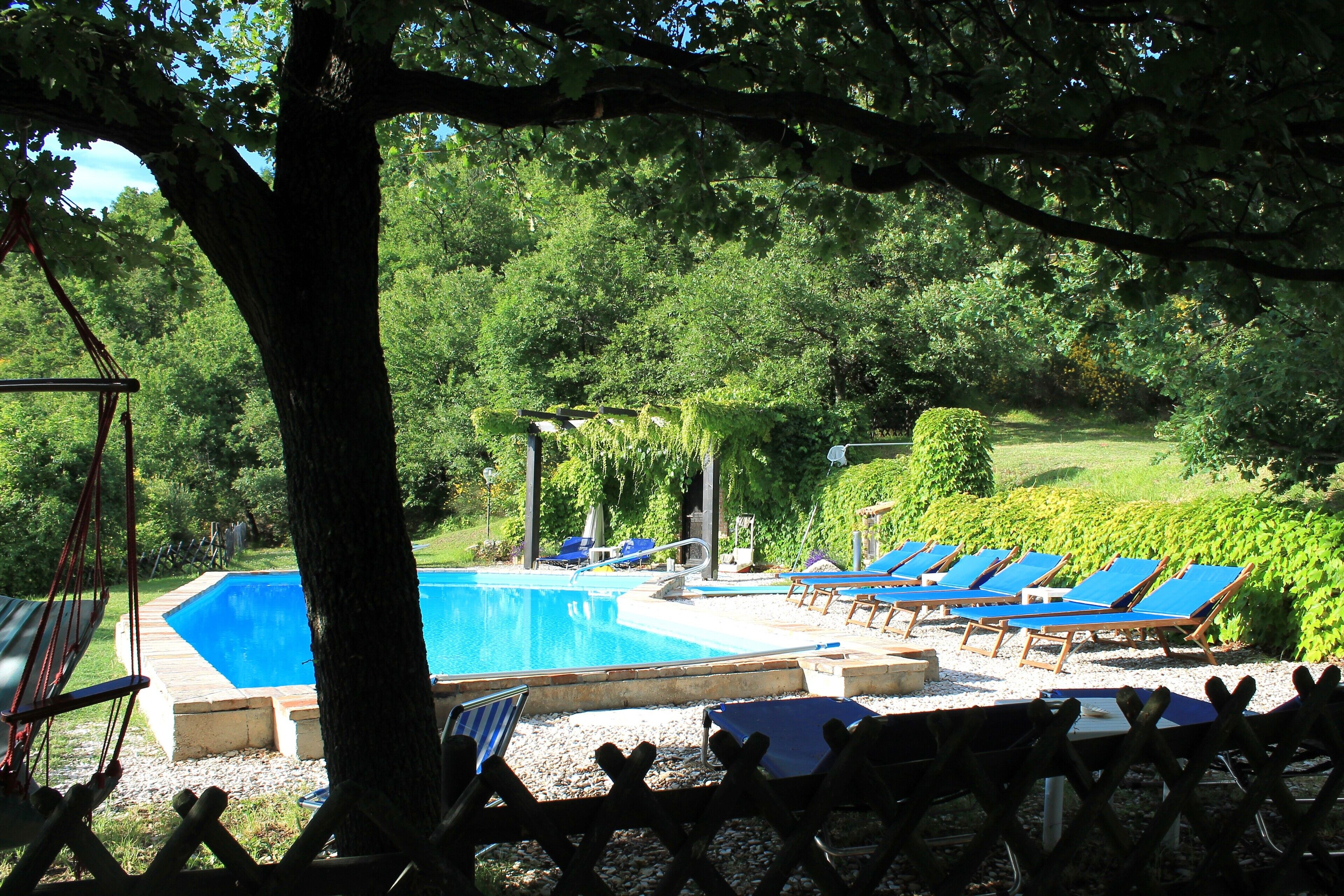 A swimming pool with blue lounge chairs and a swing chair, surrounded by trees and greenery.