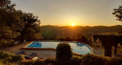 Abhängigkeit im Landhaus für 4 Personen + 2 extra in Urbino. Panorama!