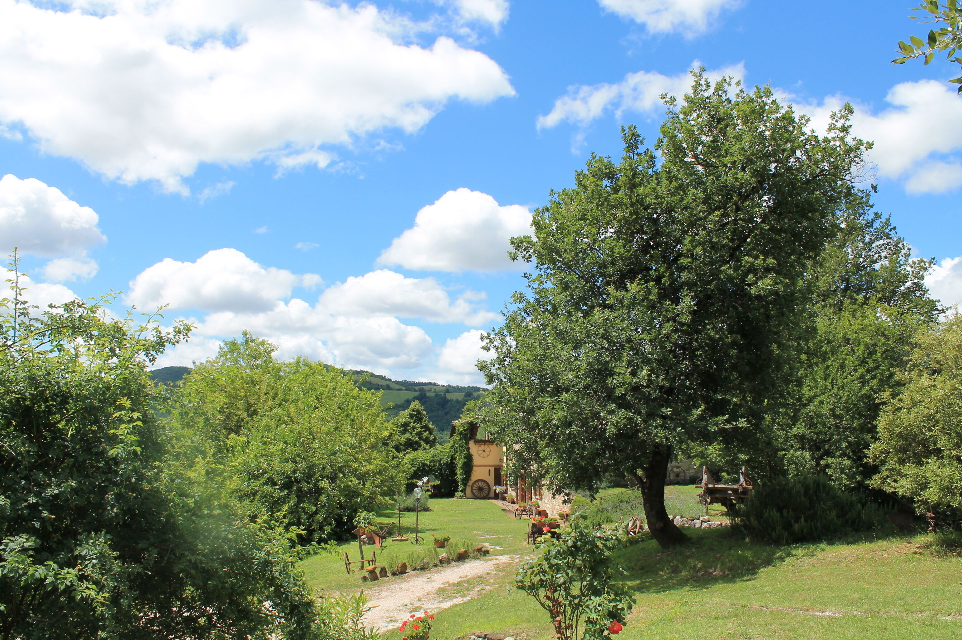 A lush garden with a stone building, a pathway, and a large tree.