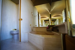 Combined shower/tub, eco-friendly toiletries, hair dryer, bathrobes