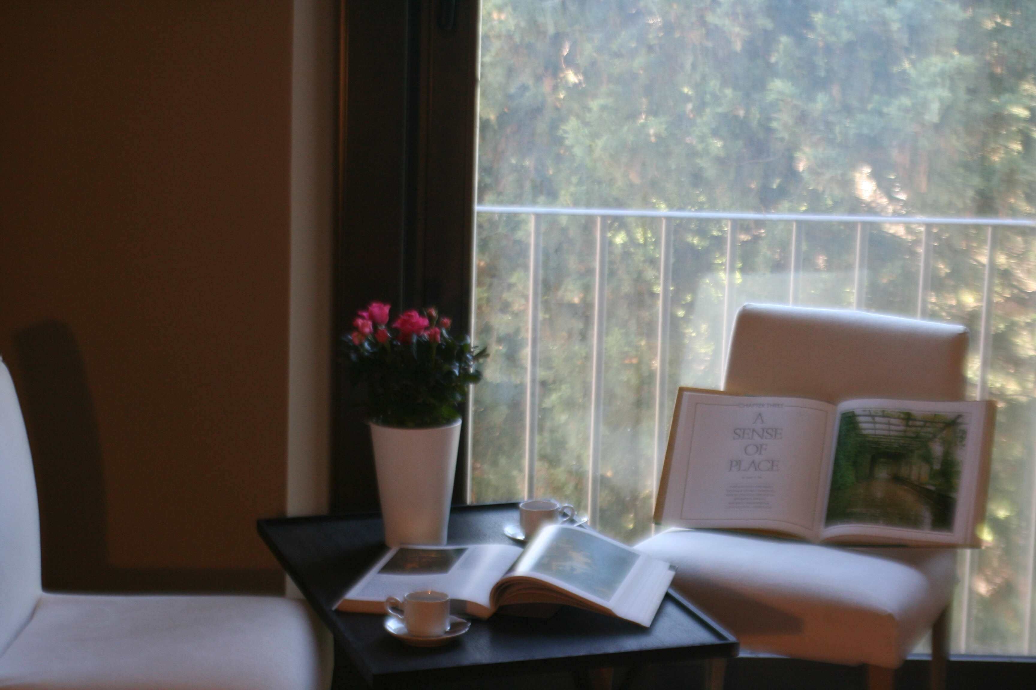 A room with a view of trees through a window, a chair, a table with a book and a cup, and a potted plant.
