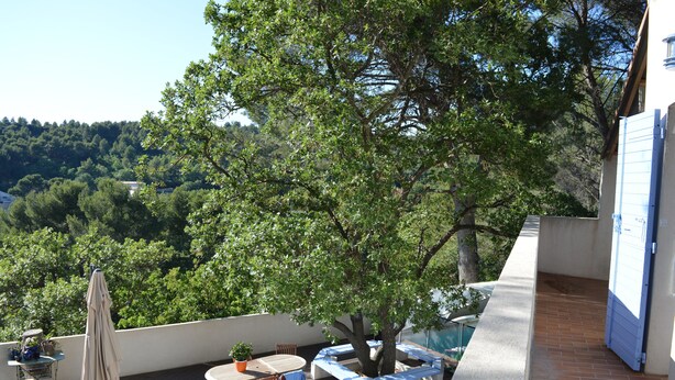 Une terrasse sur le toit, avec une table, des chaises, un pot de fleurs et un auvent bleu.