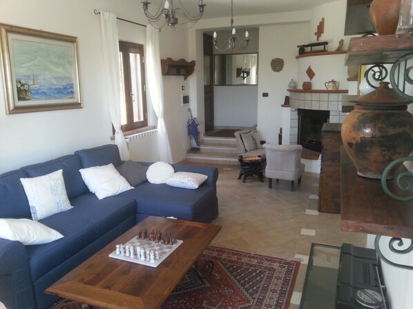 Smart TV, fireplace, books, video library