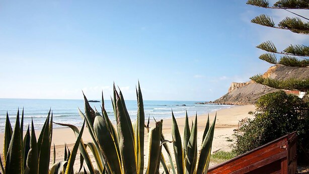 Vista a la playa con una terraza de madera y plantas de agave al frente.