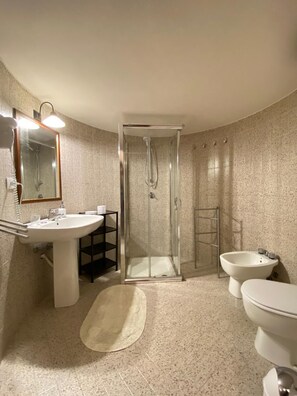 Regadera, secadora de cabello, bidet, toallas 