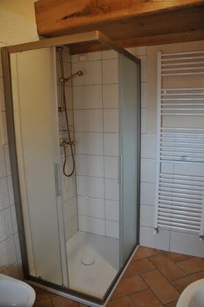 Shower, hair dryer, bidet, towels