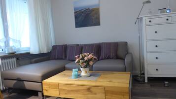 Smart TV, DVD player, books