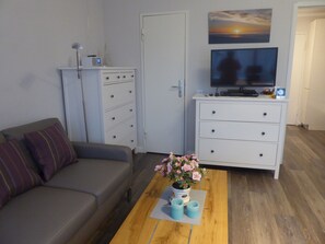 Smart TV, DVD player, books