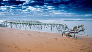 Une plage où se trouve une grande sculpture représentant le squelette d’une baleine.