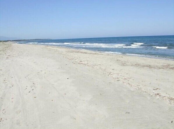 Enjoy a serene beach experience with a wide, sandy shoreline and the soothing sound of waves.