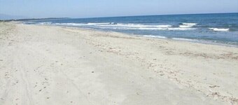 g ^ te de France 3 épis, 3 *, by the sea with swimming pool, meadow and animals, wifi