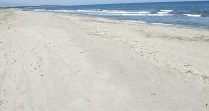 g ^ te de France 3 épis, 3 *, junto al mar con piscina, prado y animales, wifi