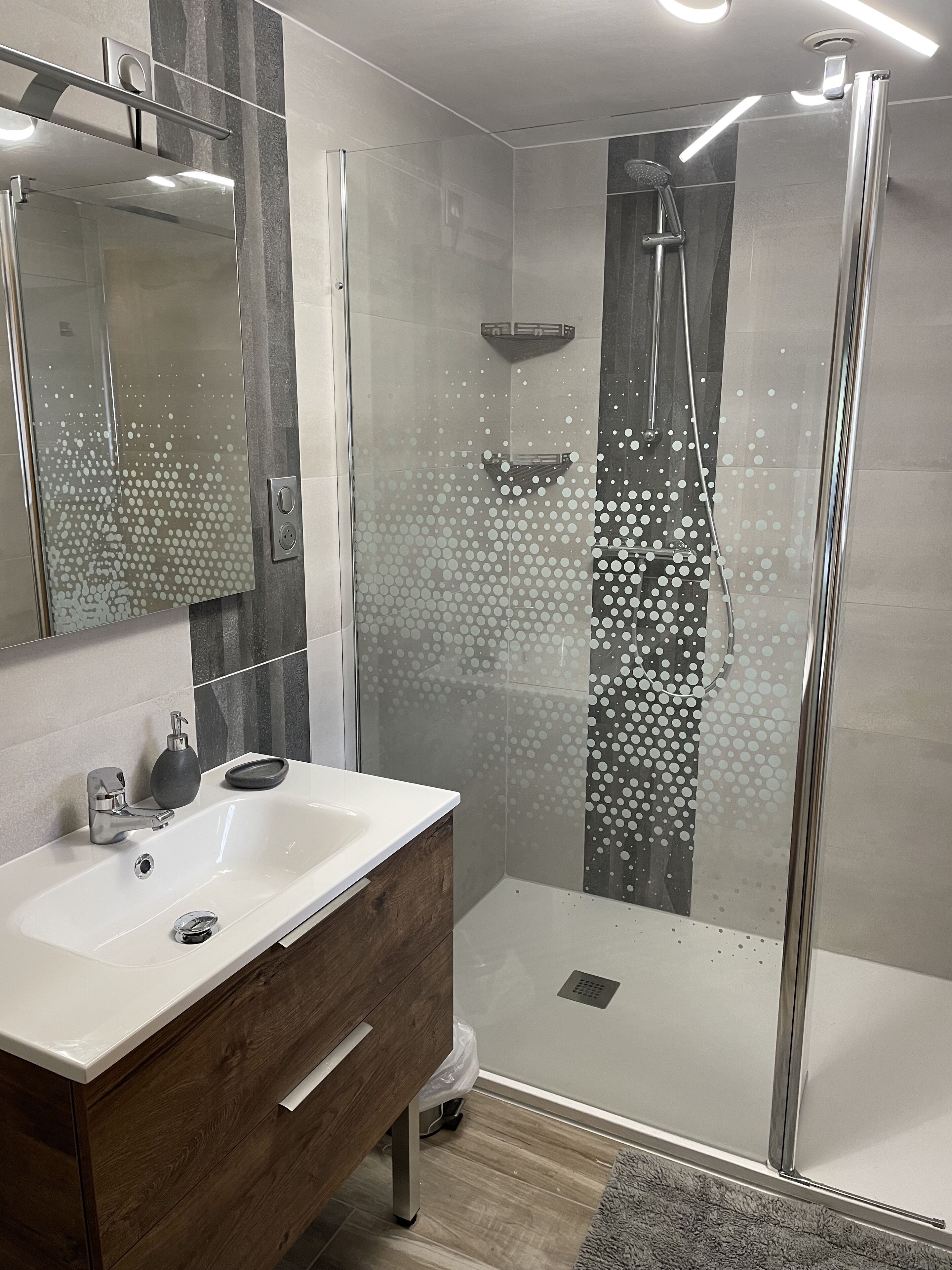 Shower, hair dryer