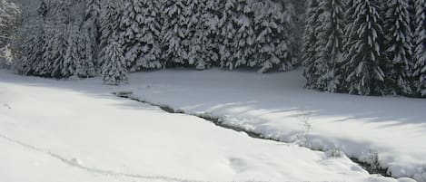 Exterieur