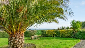 A palm tree in a well-maintained garden with a clear view of the sea in the background.