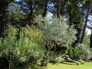 Property grounds - Typical and luxurious house in the very heart of provence with swimming pool . (Vaucluse)