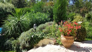 A garden with various plants and a large potted plant with red flowers. - Typical and luxurious house in the very heart of provence with swimming pool . (Vaucluse)