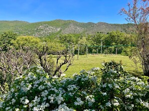 A grassy field with a playground and trees in the foreground. - 4* villa big private heated pool, deluxe hottub, natural setting airconditioning (Mosset)