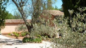 A rustic building with a tiled roof, surrounded by olive trees and other vegetation.