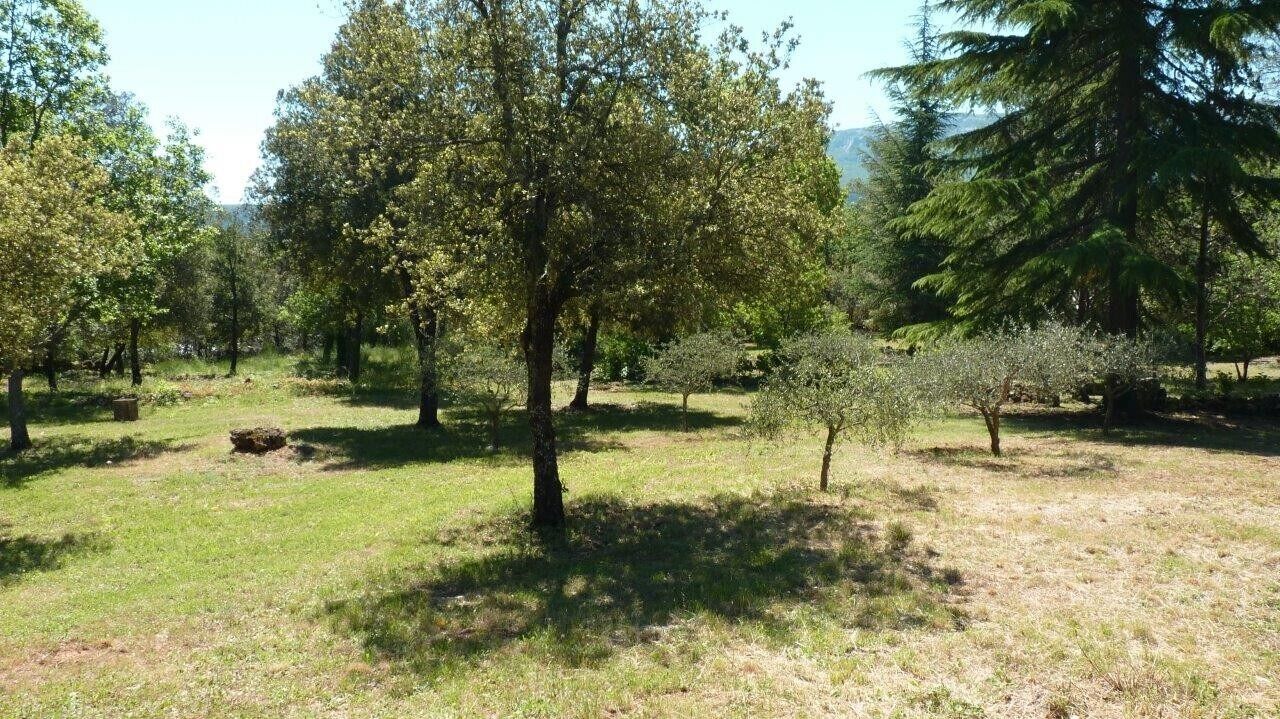 Un paysage naturel composé de différents types d’arbres et d’un champ herbeux.