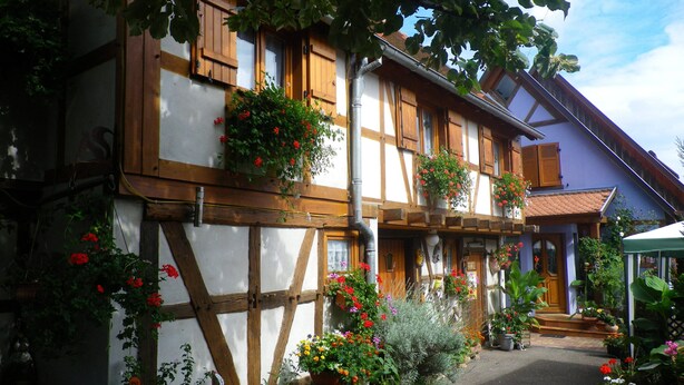 Une maison traditionnelle à colombages, avec des poutres en bois apparentes, un toit en pente et des jardinières sur les rebords des fenêtres.