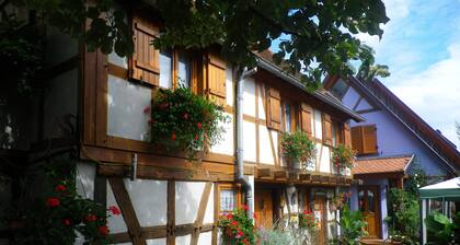 GITE à KINTZHEIM - Centre Alsace 3*** maison indépendante style alsacien