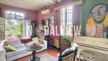 Fireplace, DVD player, books, music library