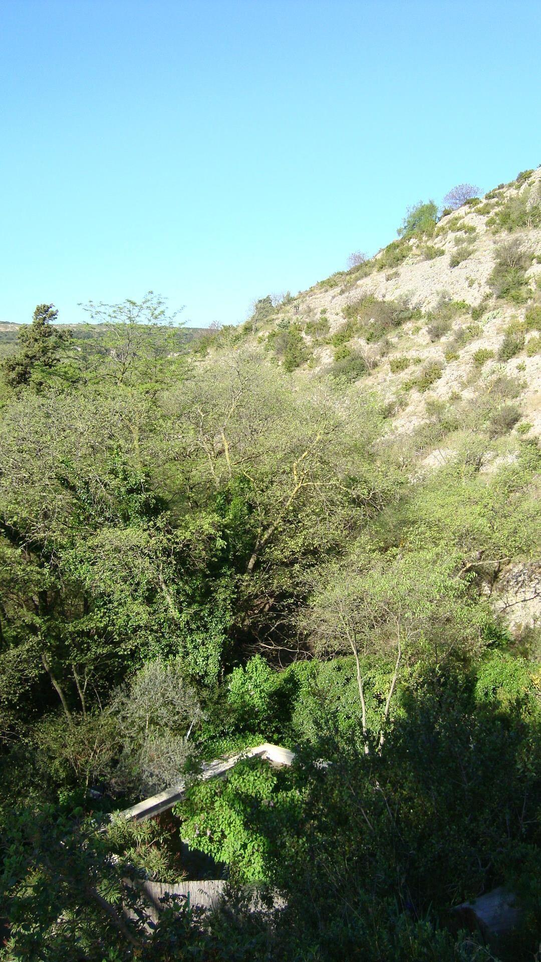 Un paysage naturel caractérisé par une végétation luxuriante et une colline rocheuse.