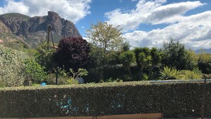 A landscaped garden with a variety of plants and a hedge in the foreground. - Air-conditioned villa with private pool and jacuzzi, in a quiet location close to beaches. (Appietto)