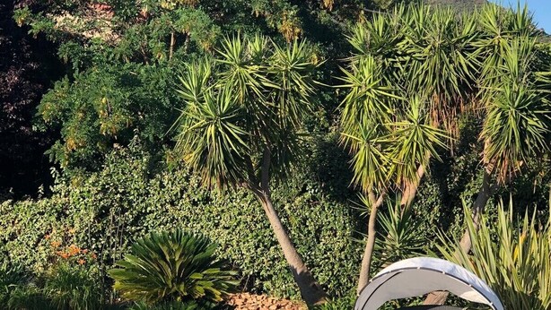 A poolside area with a wicker chair and a view of a mountainous landscape. - Air-conditioned villa with private pool and jacuzzi, in a quiet location close to beaches. (Appietto)