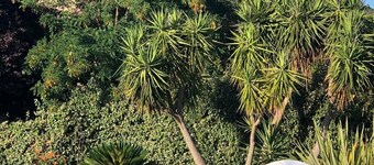 COMFORTABLE VILLA WITH PRIVATE POOL AND JACUZZI CLOSE TO THE BEACH