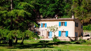 Una casa de dos pisos con contraventanas azules, rodeada de abundante vegetación y árboles.