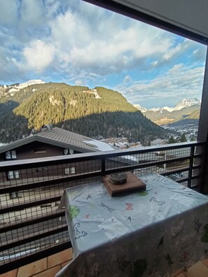 Property grounds - Le Joran - 2 rooms - superb view (Châtel)
