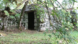 A stone structure with a doorway, surrounded by trees and grass.