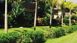 A hotel with a lush garden, palm trees, and a multi-story building with balconies. - 1 bedroom condo, kitchen, lanai, Princeville (Princeville)