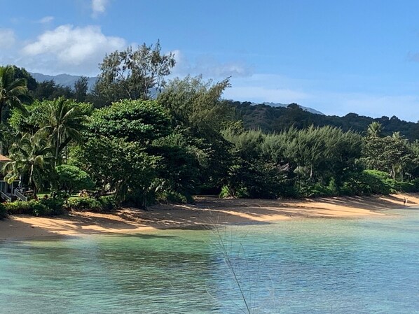 Beach nearby, sun-loungers, beach towels