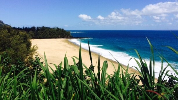 A beach with clear blue water, sandy shore, and dense greenery in the foreground. - 1 bedroom condo, kitchen, lanai, Princeville (Princeville)
