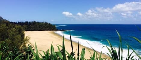 Perto da praia, espreguiçadeiras, toalhas de praia