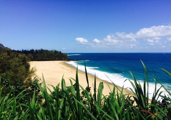 Beach nearby, sun loungers, beach towels