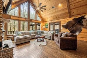 TV, fireplace, DVD player, books