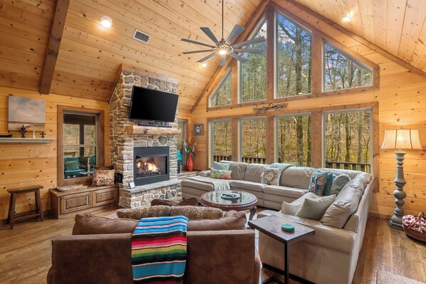 TV, fireplace, DVD player, books