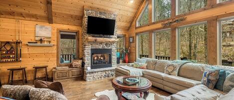 TV, fireplace, DVD player, books