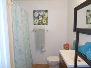 Un bagno con tenda da doccia, un water, un portasciugamani con asciugamano, un lavandino con specchio e un quadro appeso al muro.