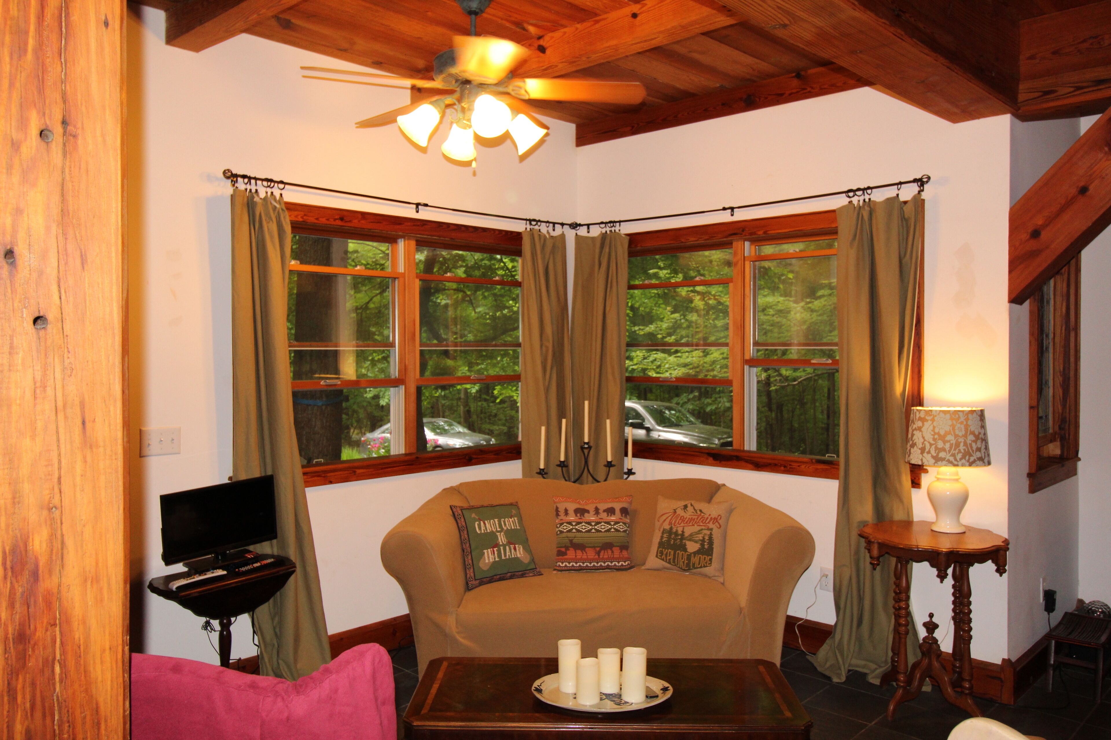 Televisión, chimenea, reproductor de DVD y libros 