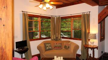 Televisión, chimenea, reproductor de DVD y libros