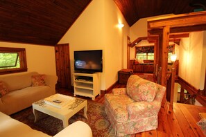 TV, fireplace, DVD player, books