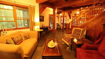 Televisión, chimenea, reproductor de DVD y libros