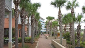 A pathway lined with palm trees and a brick walkway leading to a building with balconies. - On 30A Water lovers dream!! 4 gorgeous pools, Lake and Ocean . Pet Friendly (Panama City Beach)