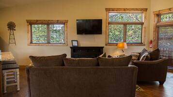 Smart-TV, Kamin