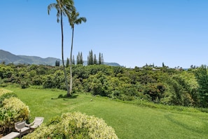 Üppige grüne Landschaft mit einer Palme, einer Rasenfläche mit einer Bank und einem Hintergrund aus Bergen und Bäumen.